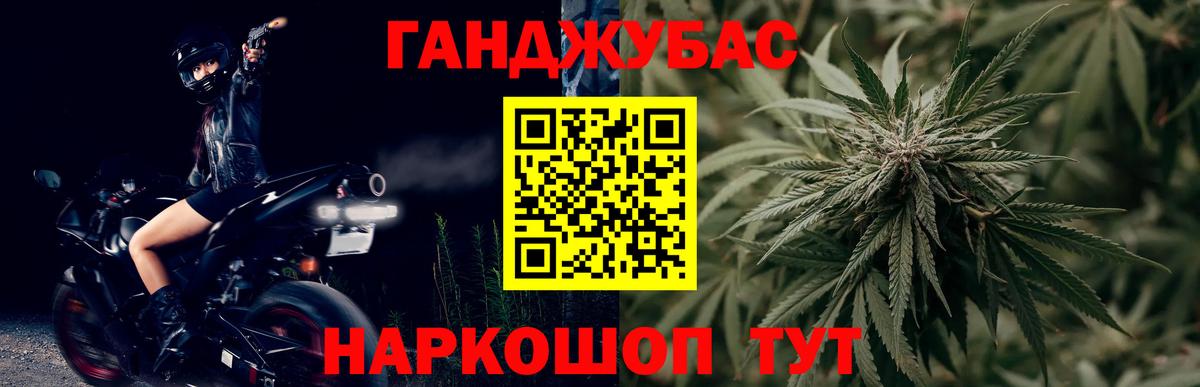 Конопля марихуана Ессентуки